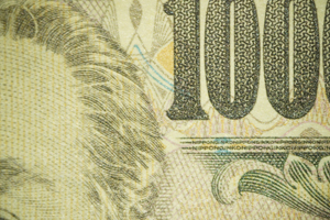 拡大比較13.6倍