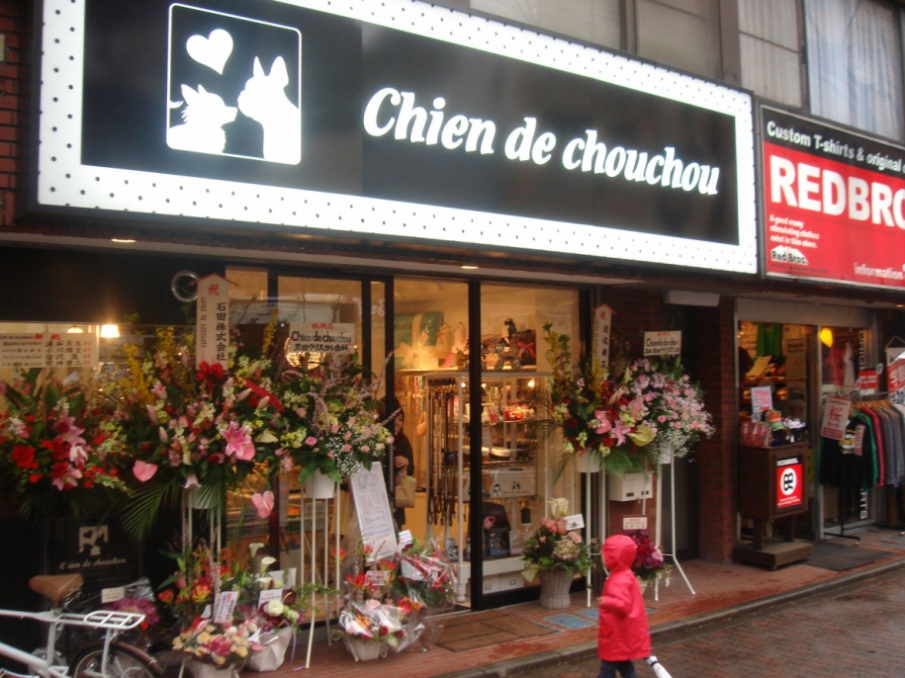 新規オープンのお店 黒田クリスタル歯科 吉祥寺 美しさと健康を実現する審美歯科 武蔵野市 インプラント